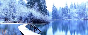 Preview wallpaper winter, landscape, pier, lake, spruces, trees