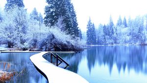 Preview wallpaper winter, landscape, pier, lake, spruces, trees