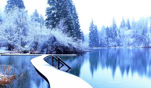 Preview wallpaper winter, landscape, pier, lake, spruces, trees