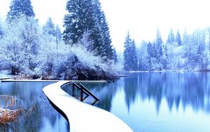 Preview wallpaper winter, landscape, pier, lake, spruces, trees