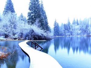 Preview wallpaper winter, landscape, pier, lake, spruces, trees