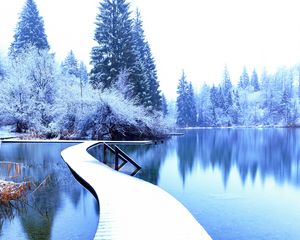 Preview wallpaper winter, landscape, pier, lake, spruces, trees