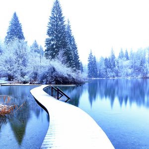 Preview wallpaper winter, landscape, pier, lake, spruces, trees