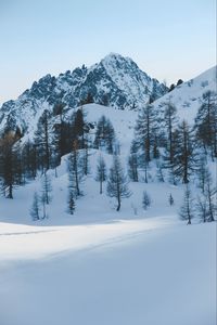 Preview wallpaper winter, mountain, snow, trees, winter landscape, shadows