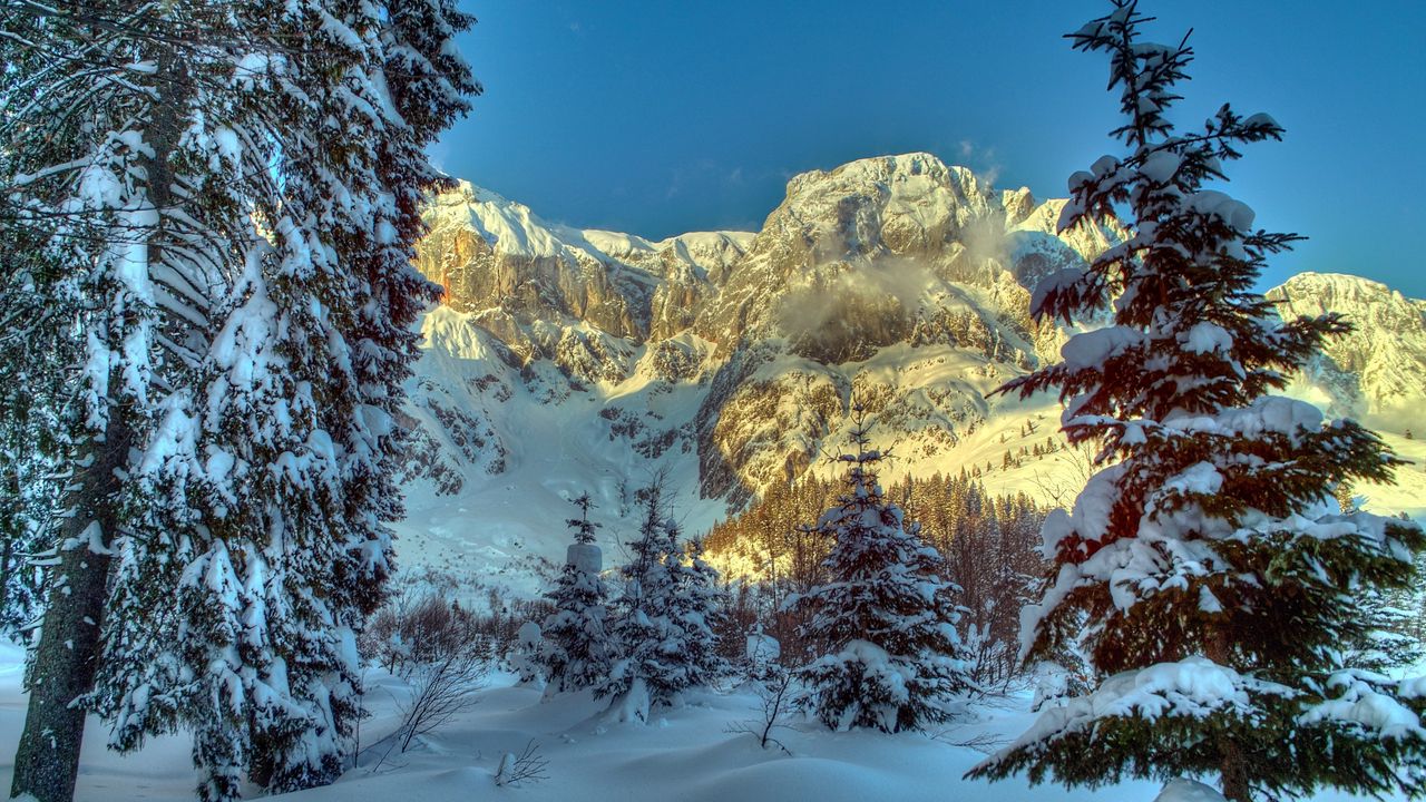 Wallpaper winter, mountains, austria, snow, trees, spruce, alps, nature