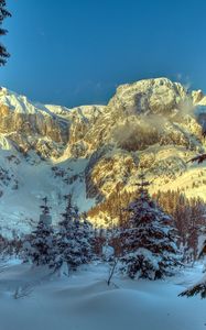 Preview wallpaper winter, mountains, austria, snow, trees, spruce, alps, nature