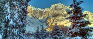 Preview wallpaper winter, mountains, austria, snow, trees, spruce, alps, nature