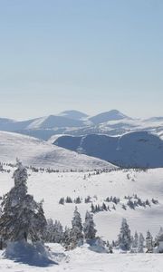 Preview wallpaper winter, mountains, slopes, trees