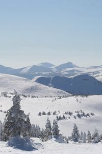 Preview wallpaper winter, mountains, slopes, trees