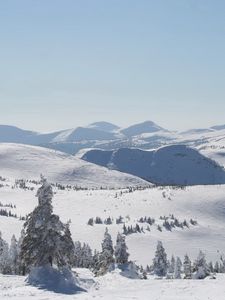 Preview wallpaper winter, mountains, slopes, trees