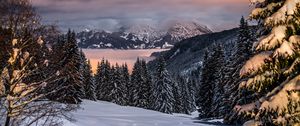 Preview wallpaper winter, mountains, snow, trees, bavaria, germany