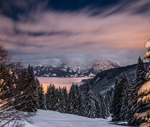 Preview wallpaper winter, mountains, snow, trees, bavaria, germany