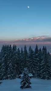 Preview wallpaper winter, mountains, snow, trees, twilight