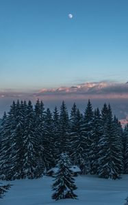 Preview wallpaper winter, mountains, snow, trees, twilight