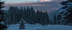 Preview wallpaper winter, mountains, snow, trees, twilight