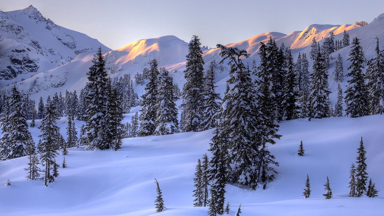 Wallpaper winter, mountains, snow, trees