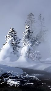 Preview wallpaper winter, river, evaporation, forest, snow