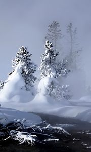 Preview wallpaper winter, river, evaporation, forest, snow