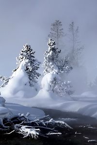 Preview wallpaper winter, river, evaporation, forest, snow