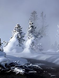 Preview wallpaper winter, river, evaporation, forest, snow