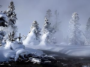 Preview wallpaper winter, river, evaporation, forest, snow