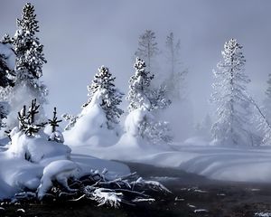 Preview wallpaper winter, river, evaporation, forest, snow