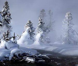 Preview wallpaper winter, river, evaporation, forest, snow