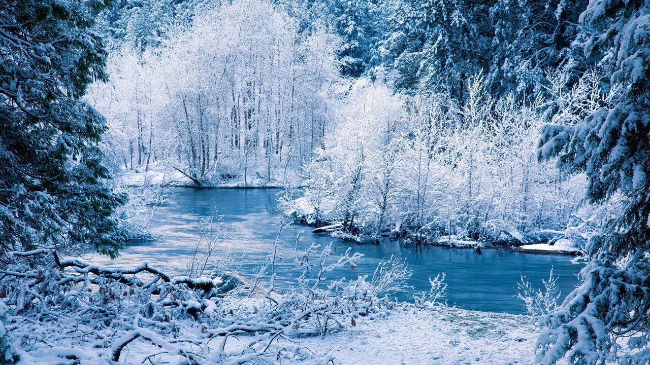 Wallpaper winter, river, snow, trees, landscape