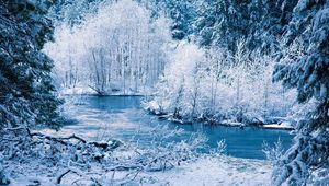 Preview wallpaper winter, river, snow, trees, landscape