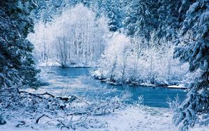 Preview wallpaper winter, river, snow, trees, landscape