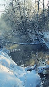 Preview wallpaper winter, river, snow, coast, hoarfrost, landscape, morning, tree