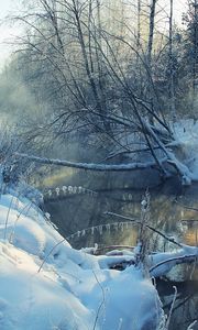 Preview wallpaper winter, river, snow, coast, hoarfrost, landscape, morning, tree