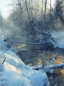 Preview wallpaper winter, river, snow, coast, hoarfrost, landscape, morning, tree