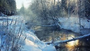 Preview wallpaper winter, river, snow, coast, hoarfrost, landscape, morning, tree