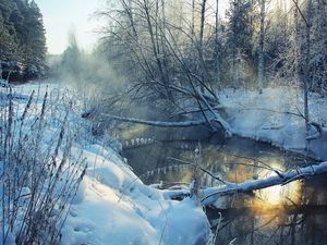 Preview wallpaper winter, river, snow, coast, hoarfrost, landscape, morning, tree