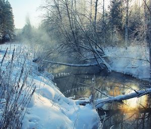 Preview wallpaper winter, river, snow, coast, hoarfrost, landscape, morning, tree