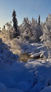 Preview wallpaper winter, river, steam, trees, snow
