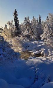 Preview wallpaper winter, river, steam, trees, snow