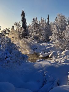 Preview wallpaper winter, river, steam, trees, snow