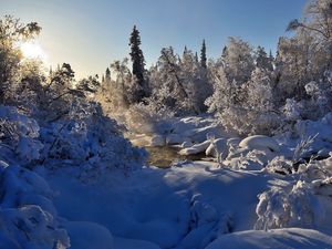 Preview wallpaper winter, river, steam, trees, snow