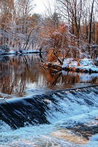 Preview wallpaper winter, river, threshold, trees