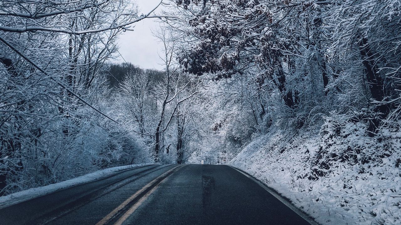 Wallpaper winter, road, marking, trees, snow