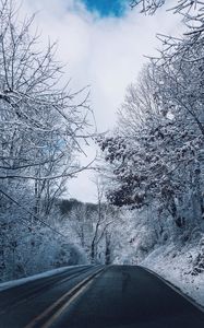 Preview wallpaper winter, road, marking, trees, snow
