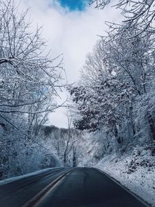 Preview wallpaper winter, road, marking, trees, snow