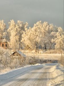 Preview wallpaper winter, road, snow, trees