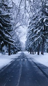 Preview wallpaper winter, road, snow, trees, winter landscape
