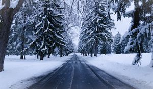 Preview wallpaper winter, road, snow, trees, winter landscape