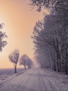 Preview wallpaper winter, road, snow, trees, fog