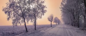 Preview wallpaper winter, road, snow, trees, fog