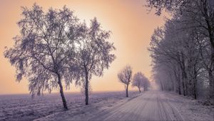 Preview wallpaper winter, road, snow, trees, fog